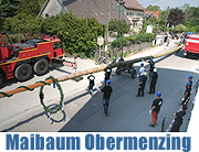 Aufstellung des Maibaums in Obermenzing (Foto. Martin Schmitz)